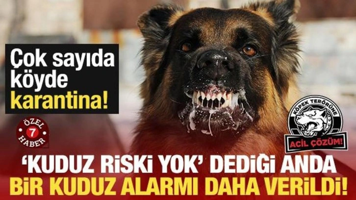 Ağrı'da Kuduz Alarmı: Çok Sayıda Köy Karantinaya Alındı