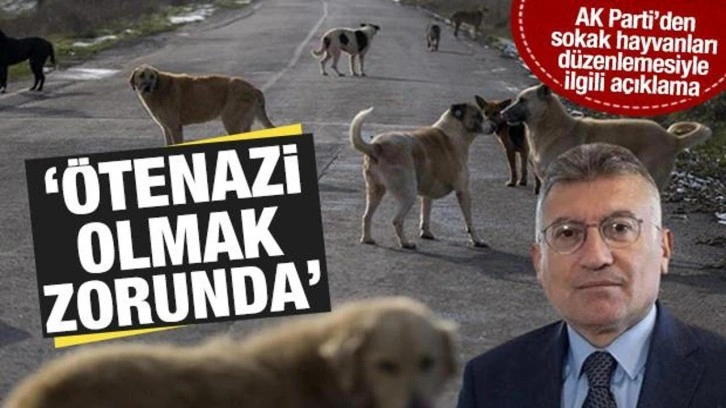 AK Parti Grup Başkanı Sokak Hayvanlarıyla İlgili Düzenleme Hakkında Konuştu