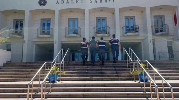 Bodrum'da PKK/KCK Üyesi Yakalandı