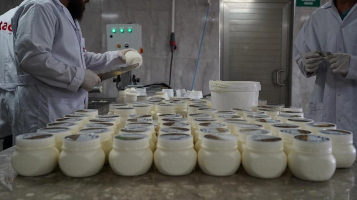 Erzincanlı Anne Tulum Peynir Üretiminde Başarıya Ulaştı