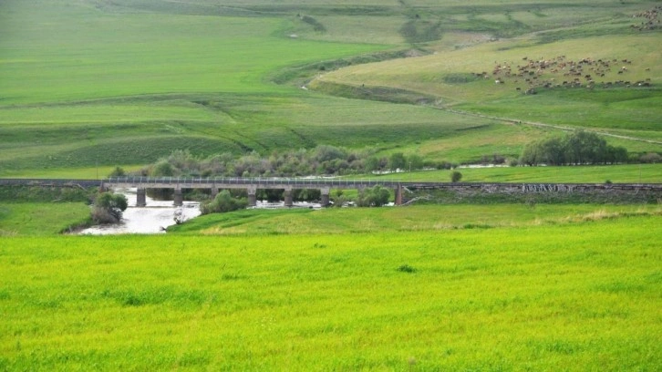 Erzurum'un Tarım ve Hayvancılık Potansiyeli