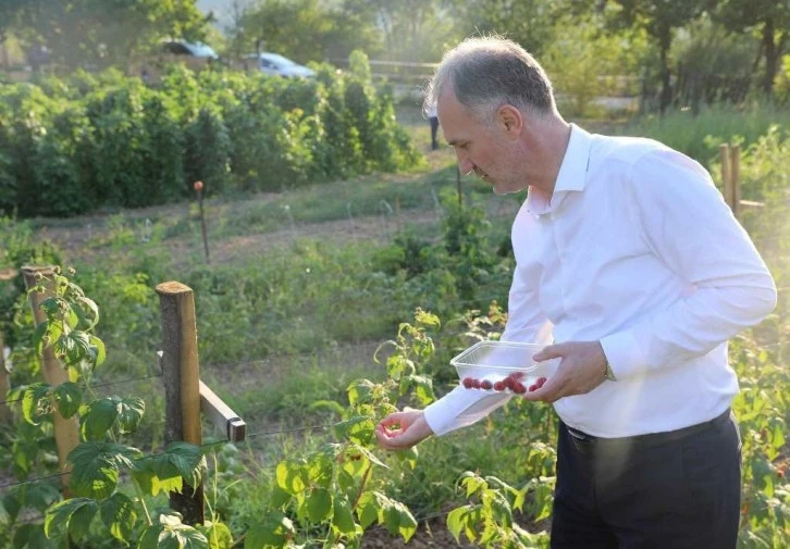 İnegöl Belediyesi ücretsiz toprak analizi yapıyor