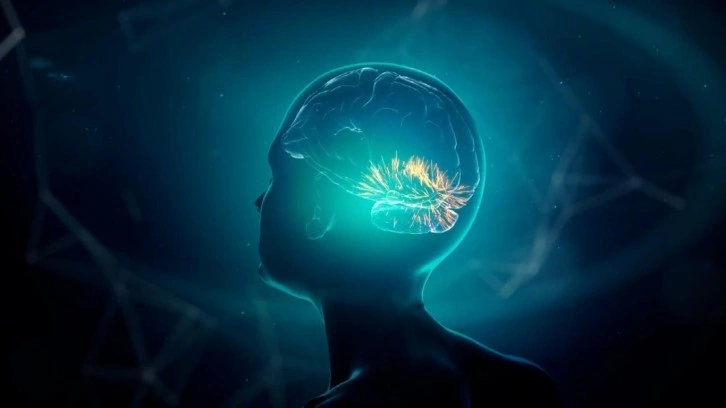İnsan Beyin Dokusundan Yapılmış İlk Yaşayan Bilgisayar Üretildi!