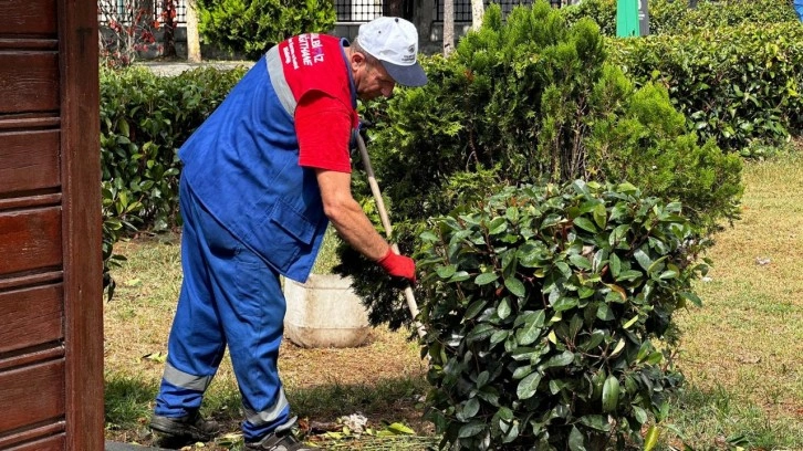 Kâğıthane’de Yeşil Alan Çalışmaları Hız Kesmeden Devam Ediyor