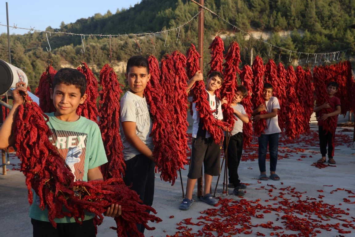 Mahalle kırmızıya büründü