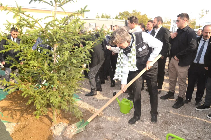 Uludağ Üniversitesi'nin yanan ormanları yeniden yeşeriyor