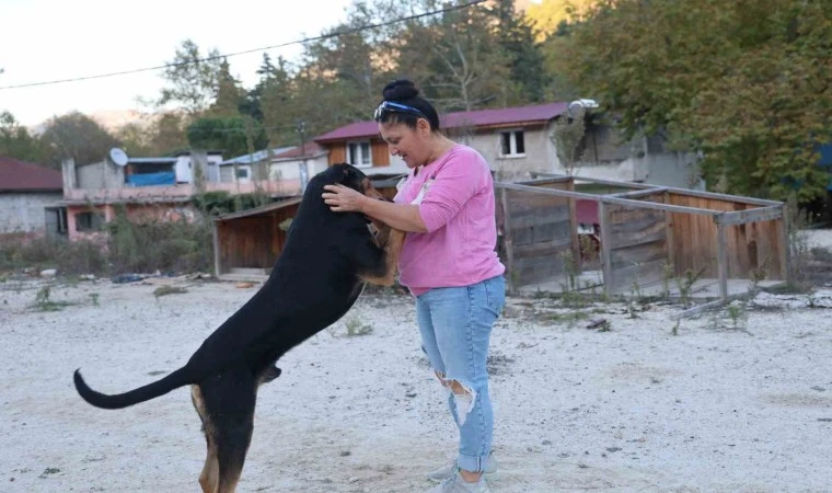 Yolda kafası salça bidonuna sıkışan köpeği kurtardı