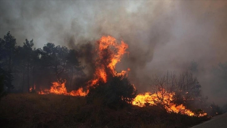 Yunanistan'da Orman Yangınlarına Karşı Tedbirler Alınıyor
