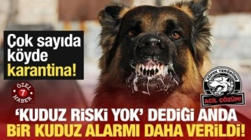 Ağrı'da Kuduz Alarmı: Çok Sayıda Köy Karantinaya Alındı