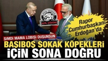 AK Parti Grup Başkanvekili Bahadır Yenişehirlioğlu Sokak Köpekleri Sorununu Cumhurbaşkanı'na İletti