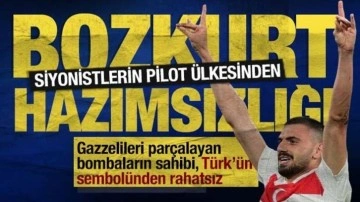 Almanya'da Bozkurt İşareti Tartışması: Türkiye'nin EURO 2024 Performansı