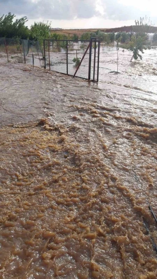 Antalya’da çıkan hortum büyük hasar verdi