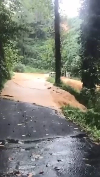 Artvin'de Şiddetli Yağmur Köy yollarını Kapadı