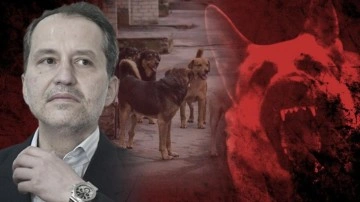 Atatürk'ün 1932'de yayınladığı 'sokak köpeği' genelgesi ortaya çıktı!