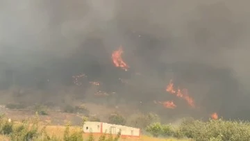 Bursa'da ki orman yangını nihayet kontrol altına alındı