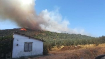 Erdek'te Orman Yangını Kontrol Altına Alınmaya Çalışılıyor