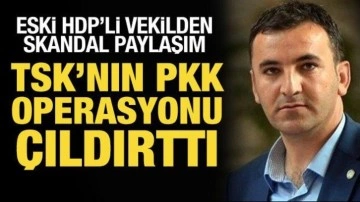 Eski HDP'li Milletvekili TSK Operasyonlarına Karşı Çıktı