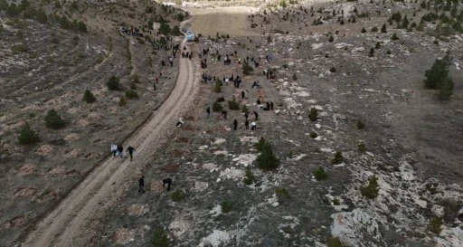 Hatırası bir orman yaşatacak