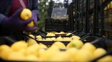 İstanbul'da Perakende Fiyatları Değişti