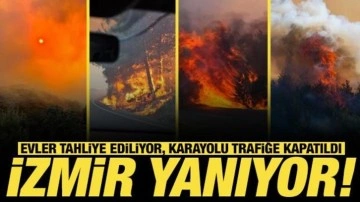 İzmir'de Orman Yangınlarına Havadan ve Karadan Müdahale Devam Ediyor
