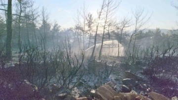 Kaplan Dağı'nda Kontrol Altına Alınan Yangın Soğutulmaya Başlandı