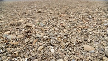 Konyaaltı Sahili'nde Çevre Kirliliği Dikkat Çekiyor
