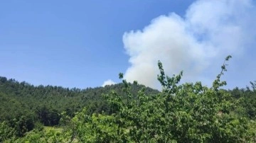 Orman Yangını Balıkesir'i Tehdit Ediyor