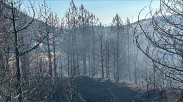 Orman Yangınlarıyla Mücadelede Teknoloji Kullanılıyor