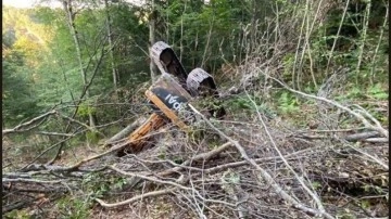 Paletli İş Makinesi Kuzuyayla Ormanlık Alanında Kaza Yaptı