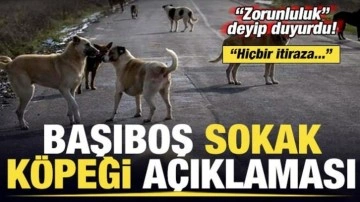 Sağlık Bakanı Fahrettin Koca'dan Başıboş Sokak Köpekleri Açıklaması