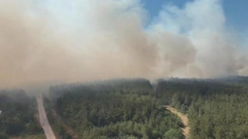 Uludağ Üniversitesi Kampüsünde Çıkan Orman Yangını Büyük Korku Yarattı